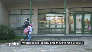 V třineckém lesoparku byla zneužita malá dívenka