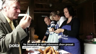 Ve Stonavě je opět obnoven chov prasat