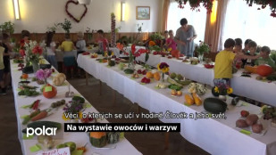 Na wystawie owoców i warzyw