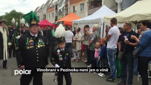 Vinobraní v Pezinoku není jen o víně