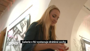 Galerie v NJ vystavuje drátěné sochy