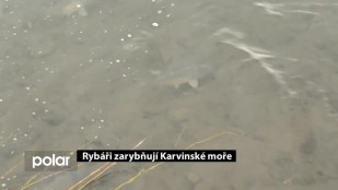 Rybáři vypustili do Karvinského moře mladé kapry