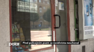 Před policejním psem se recidivista neschoval