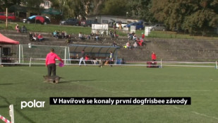 V Havířově se konaly první dogfrisbee závody