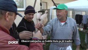 Obecní zabíjačka ve Světlé Hoře je již tradicí