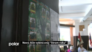 Nový Jičín vybírá svůj “Strom roku”