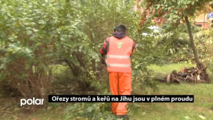 Ořezy keřů a stromů v Ostravě-Jihu jsou v plném proudu