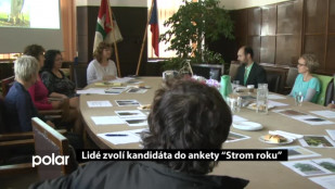 Lidé vyberou kandidáta na “Strom roku”