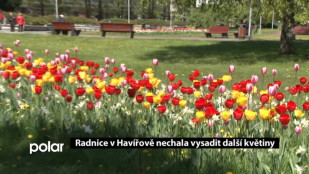 Radnice v Havířově nechala vysadit další květiny