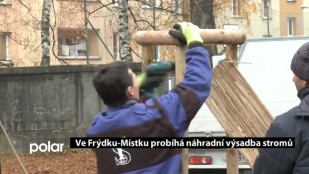 Ve Frýdku-Místku probíhá náhradní výsadba stromů