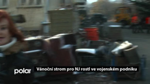 Vánoční strom pro NJ rostl ve vojenském podniku