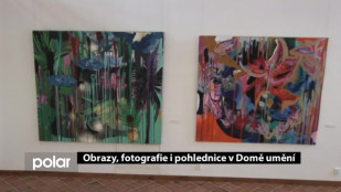 ​Obrazy, fotografie i pohlednice v Domě umění