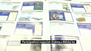 Participativní rozpočet na Jihu: projekty v Dubině a Bělském lese