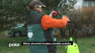 Místo stromků kradou zloději ozdoby