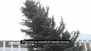 V Karviné se rozsvítí nově tři stromy