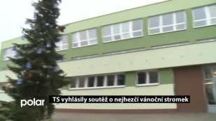 TS F-M vyhlásily soutěž o nejhezčí vánoční stromek