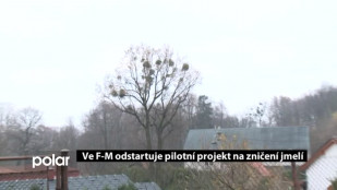 Ve F-M odstartuje pilotní projekt na zničení jmelí