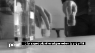 10 let za pobodáním loveckým nožem je prý příliš