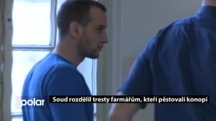 Soud rozdělil tresty farmářům, kteří vyráběli marihuanu