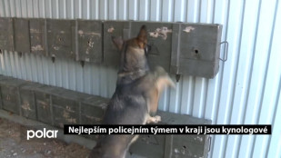 Nejlepším policejním týmem v kraji jsou kynologové