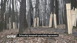 Orlovský lesopark prochází opravami