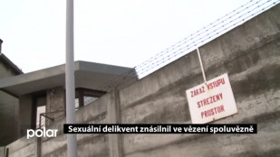 Sexuální delikvent znásilnil ve vězení spoluvězně