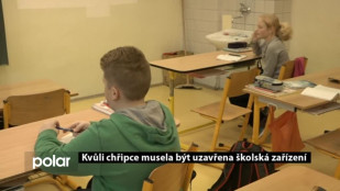 Kvůli chřipce musela být uzavřena školská zařízení