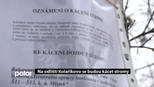 Na sídlišti Kolaříkovo ve F-M se budou kácet stromy