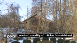 Veterináři potvrdili ptačí chřipku v Ostravě-Svinově