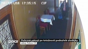 Policisté pátrají po totožnosti podezřelé zlodějky