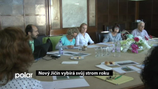 Nový Jičín vybírá svůj strom roku