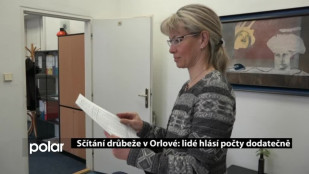 Sčítání drůbeže v Orlové: lidé hlásí počty dodatečně