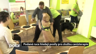 Podané ruce hledají posily pro službu canisterapie