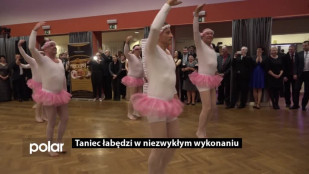 Niezwykłe wykonanie tańca łabędzi