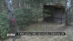 V ZOO Ostrava začíná velká rekonstrukce elektrické sítě