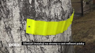 Silničáři instalují na stromy u cest reflexní pásky