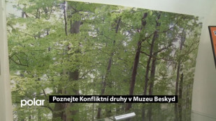  Poznejte Konfliktní druhy v Muzeu Beskyd F-M