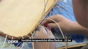 ​Sociálně terapeutická dílna Radost - 25 let