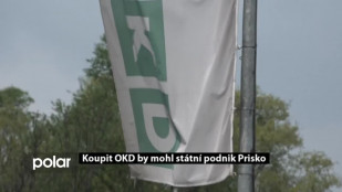 Koupit OKD by mohl stát přes firmu Prisko