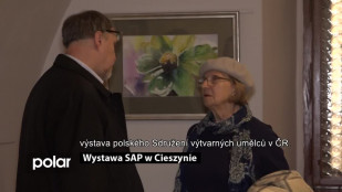 Wystawa SAP w Cieszynie