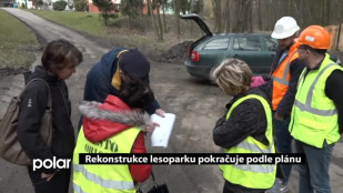 Rekonstrukce lesoparku pokračuje podle plánu