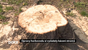 Opravy horkovodů ve F-M si vyžádaly kácení stromů