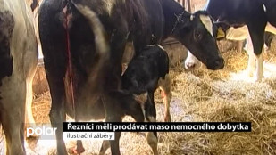 Řezníci měli prodávat maso nemocného dobytka