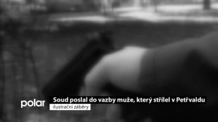 Soud poslal do vazby muže, který střílel v Petřvaldu