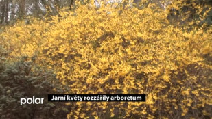 ​Jarní květy rozzářily arboretum