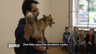 Živá liška zpestřila školákům výuku