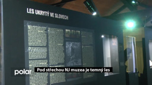 Pod střechou NJ muzea je temný les