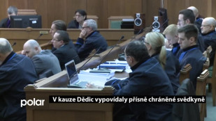 V kauze Dědic vypovídaly přísně chráněné svědkyně