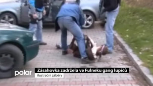 Zásahovka zadržela ve Fulneku gang lupičů