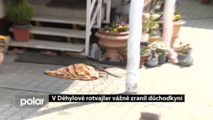 V Děhylově rotvajler vážně zranil důchodkyni